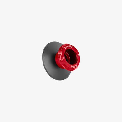 Bonamici Racing Aluminum swing arms spools 10x1,5 EVO racing - RED