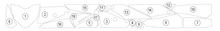 Load image into Gallery viewer, Eazi-Guard Paint Protection Film for Ducati Monster 2021  matte