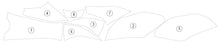 Load image into Gallery viewer, Eazi-Guard Tank Protection Film for Ducati Diavel V4  gloss